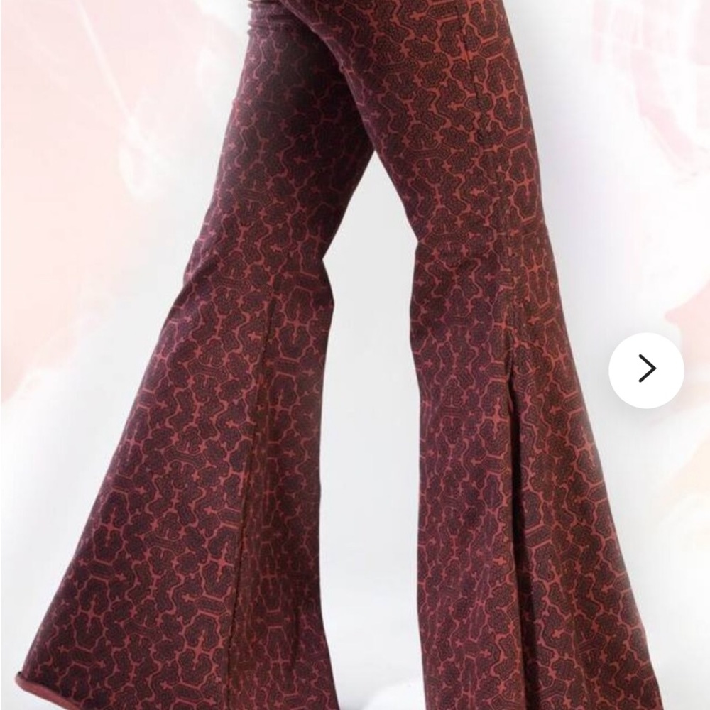 Melophoenix size xsmalll